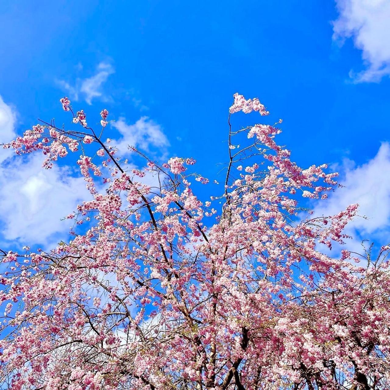 Fuji-Hakone Guest House Екстер'єр фото