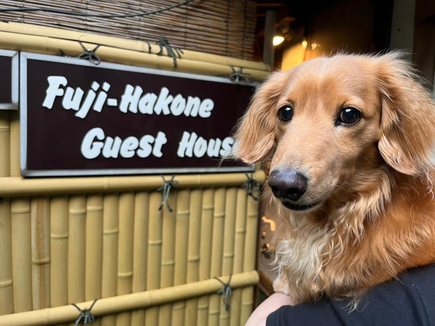 Fuji-Hakone Guest House Екстер'єр фото